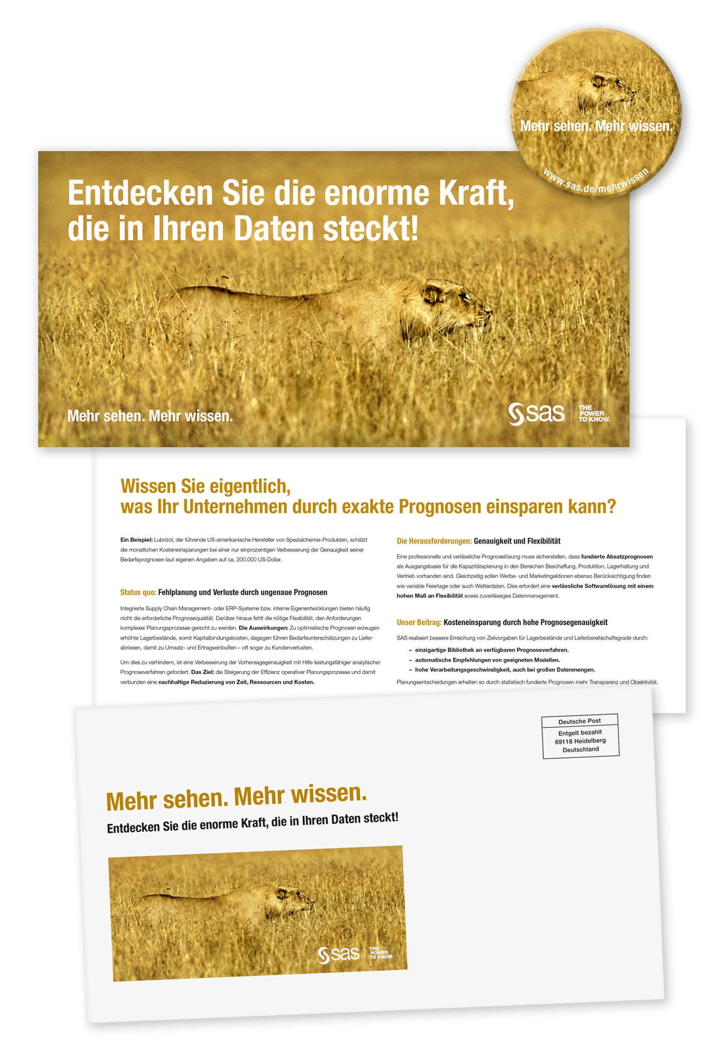 P12 Werbeagentur Heidelberg Referenz SAS Unternehmensweite Datenanalyse Mailing Stufe Loewe